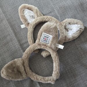 Great Wolf Lodge Ears